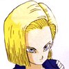 android18.jpg